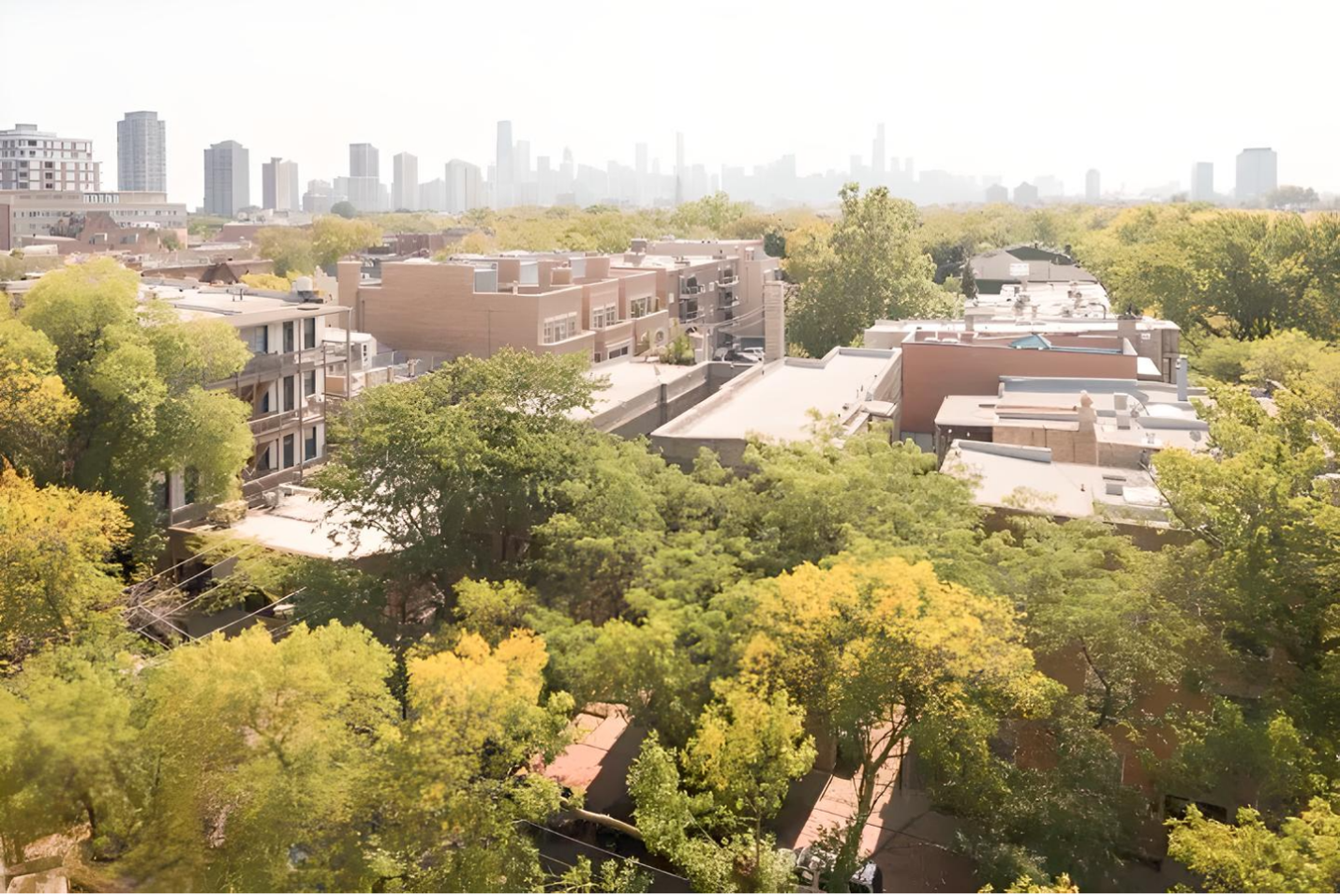 A rooftop view of a city neighborhood with a mix of homes and abundant green trees. In the background, the skyline of a larger city is visible. The overall scene has a warm, sunny atmosphere with soft lighting.